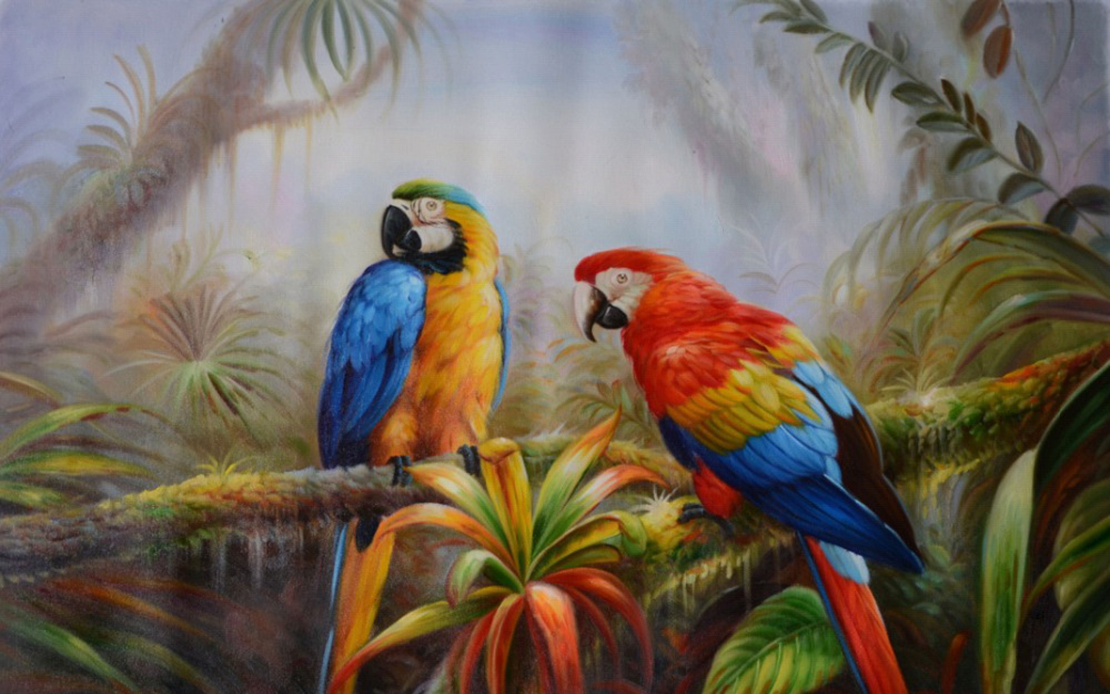 Jungle Parrot Exotic Birds Picture Download HD Wallpaper