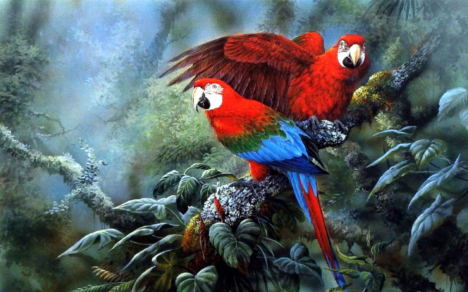 Bright Macaws Couple Jungle wallpaper. Bright Macaws Couple