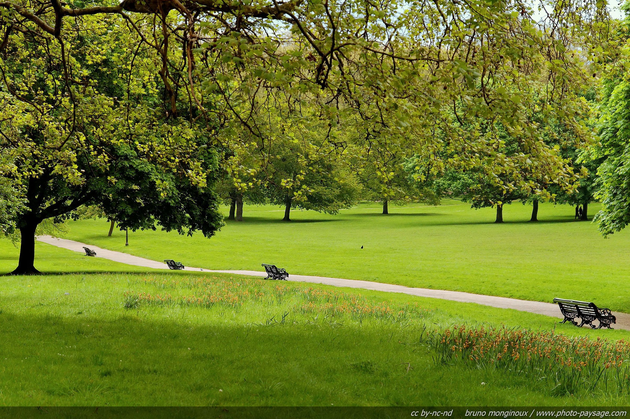 Best HD Walls of Green Park, HD Widescreen Green Park Wallpaper