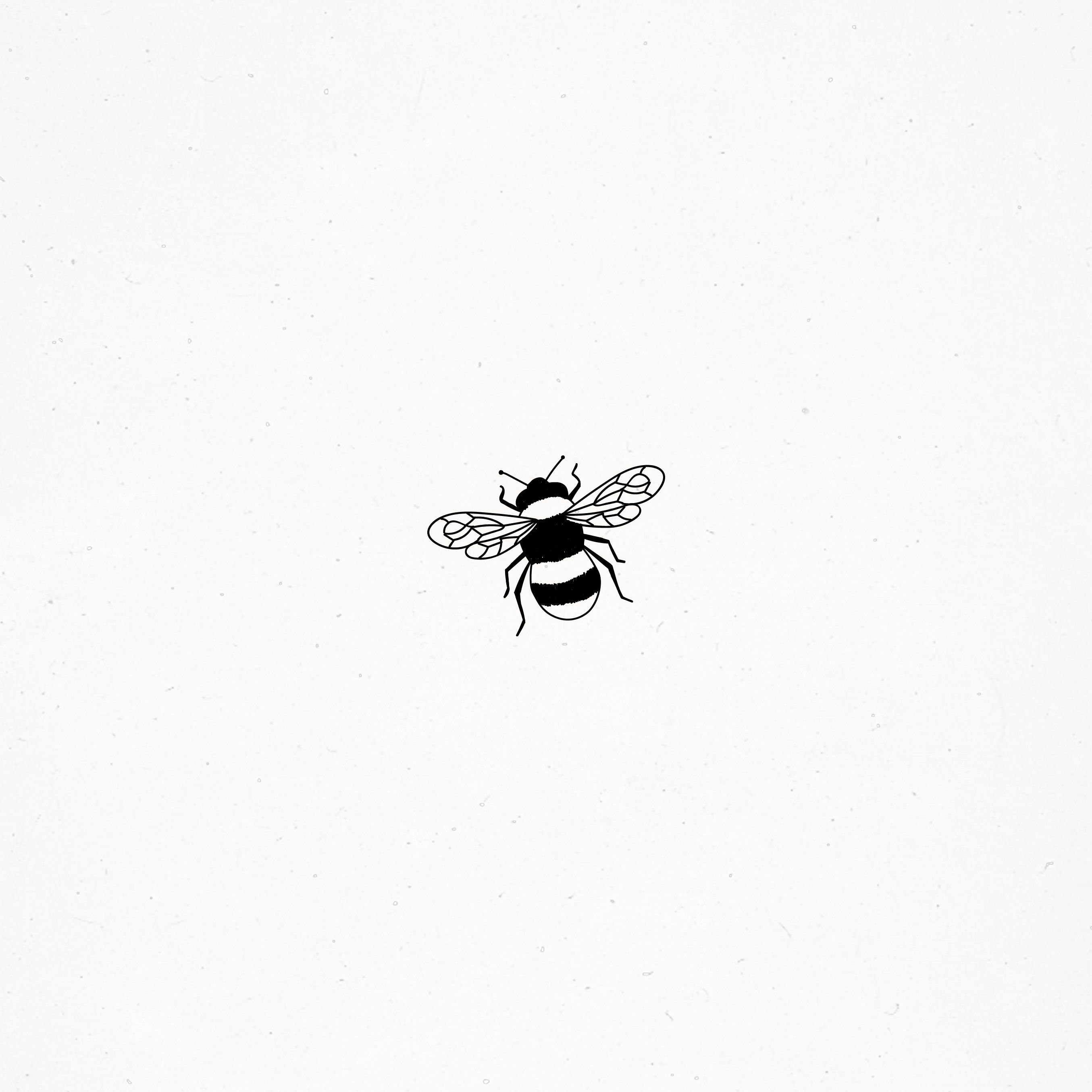 Cute Bee Illustration Doodle Drawing Insect Nature Living Life