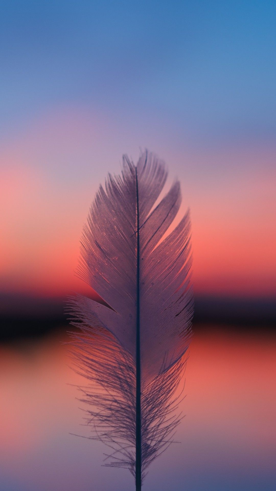 Feather Focus Blur Sunset 5k Mobile Wallpaper iPhone, Android
