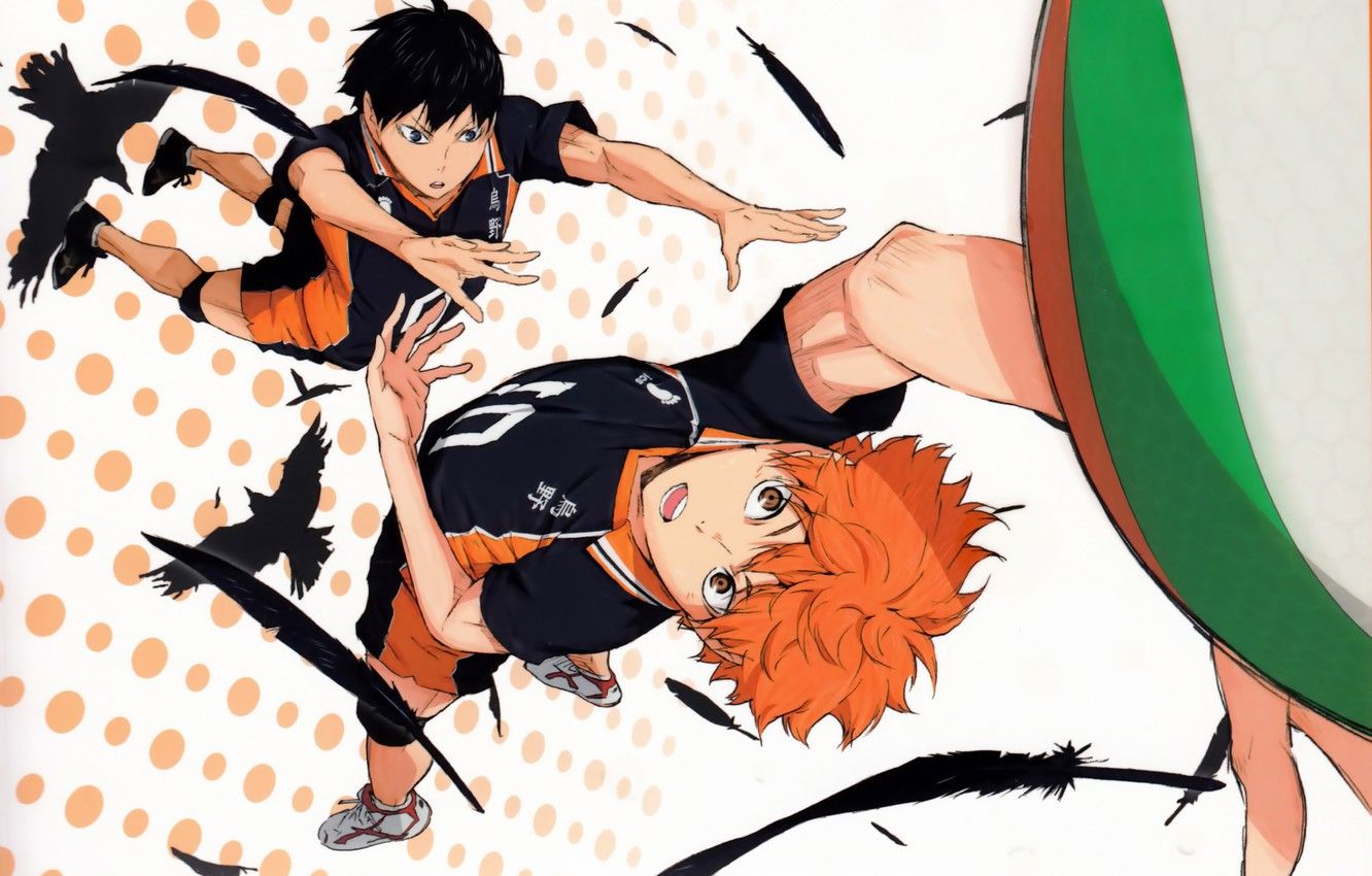 Wallpaper the ball, feathers, red, crows, guys, art, submission, sports uniforms, Haikyuu!!, Volleyball!, Shouyou Hinata, Tobio Kageyama, by Haruichi Furudate image for desktop, section сёнэн