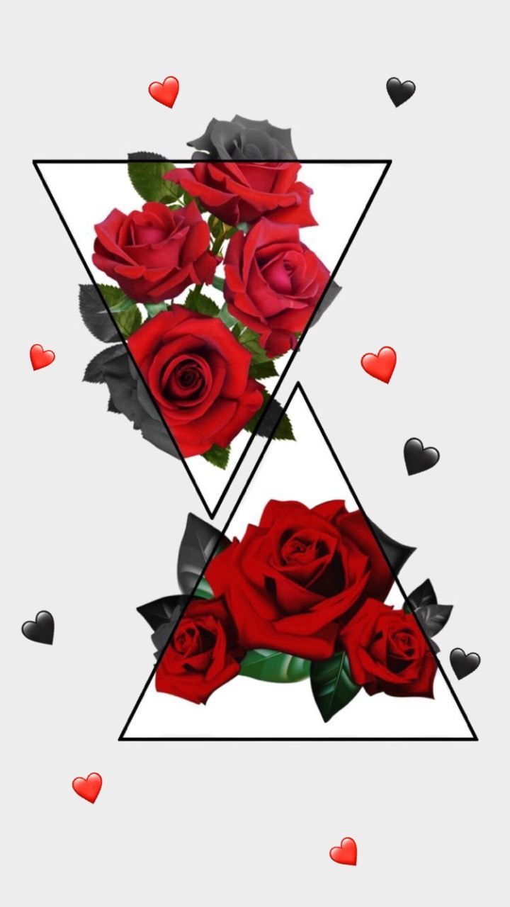 Aesthetic Roses Wallpaper iPhone