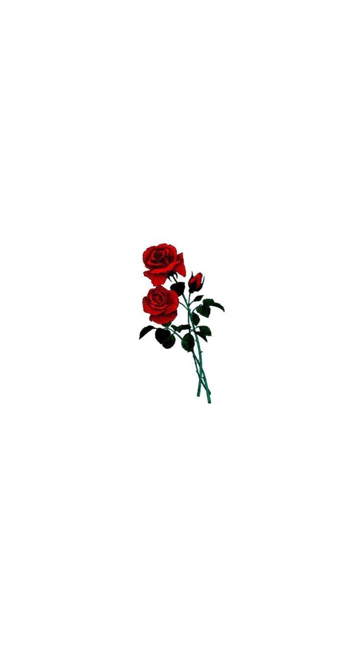 iPhone Simple Rose Wallpaper