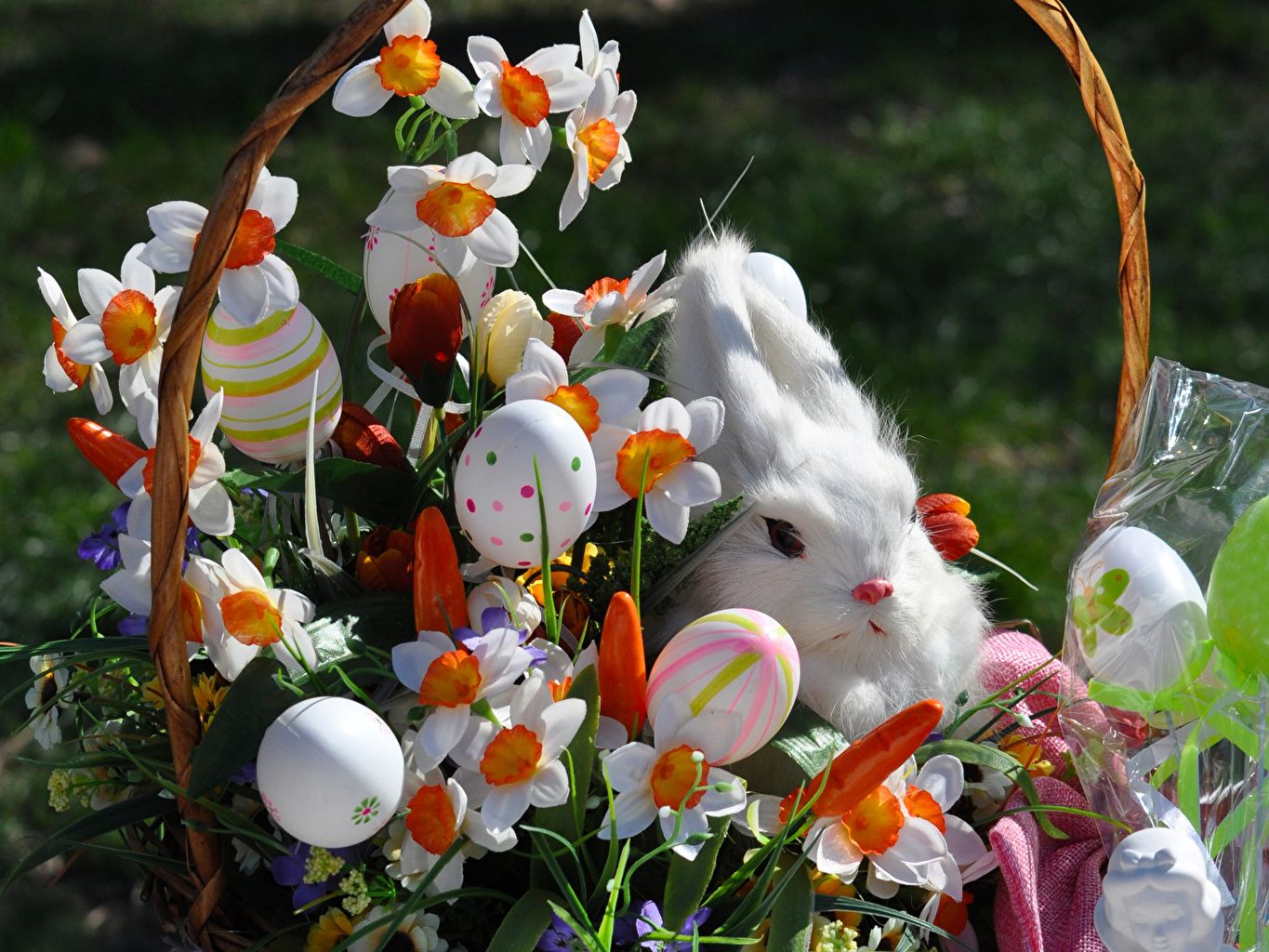 Desktop Wallpaper Easter rabbit Eggs Narcissus Holidays