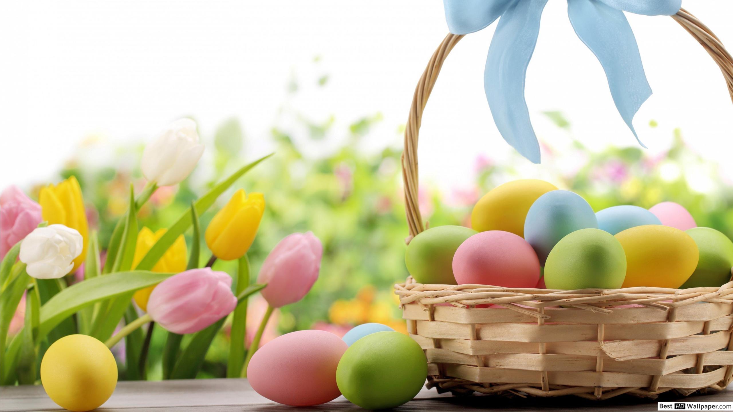 Easter eggs in the basket HD wallpaper download
