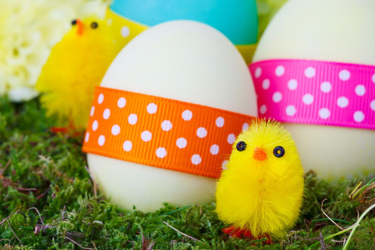 Easter Chicks And Eggs Free Domain Picture