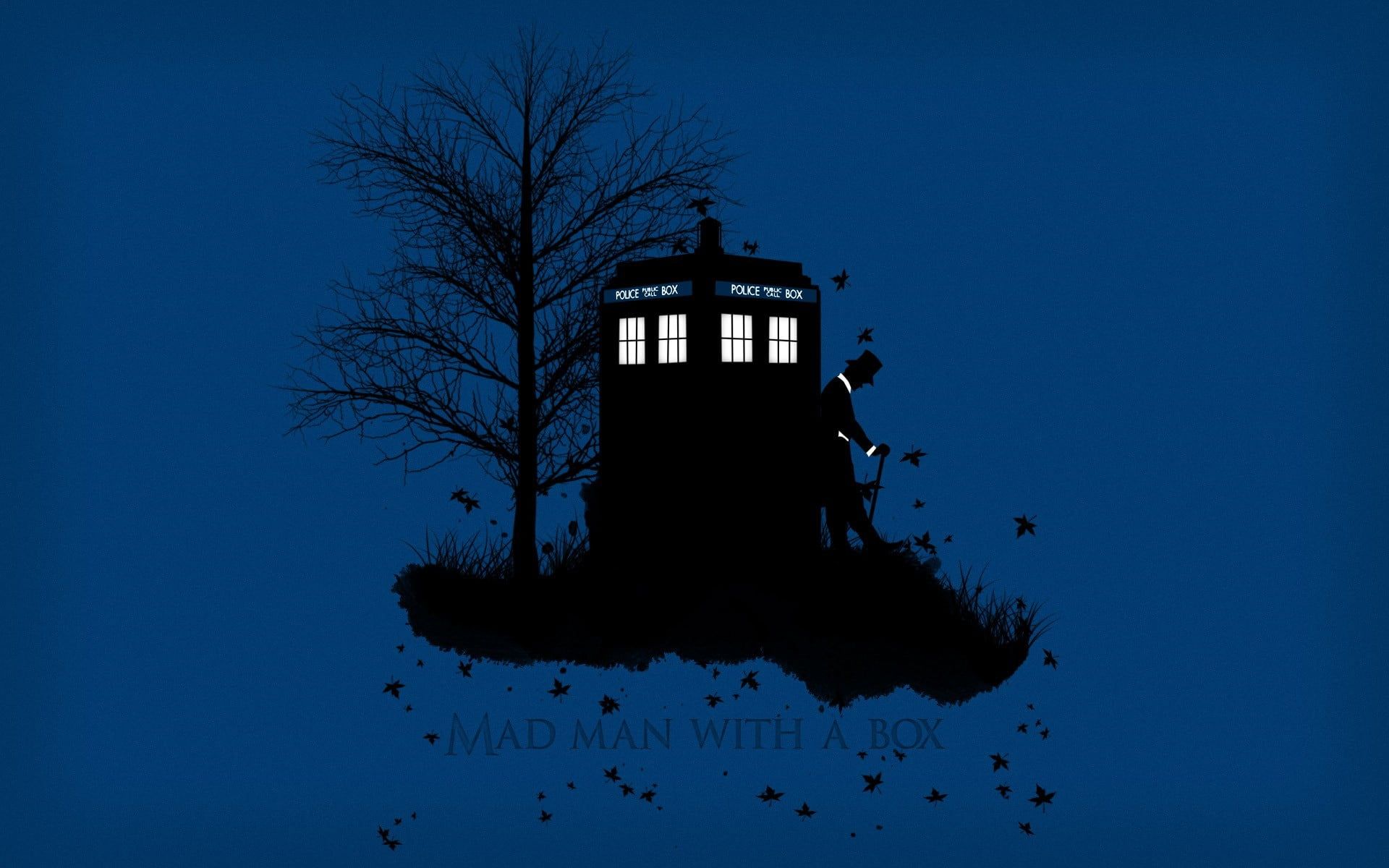 Mad Man With A Box digital wallpaper, Doctor Who, The Doctor