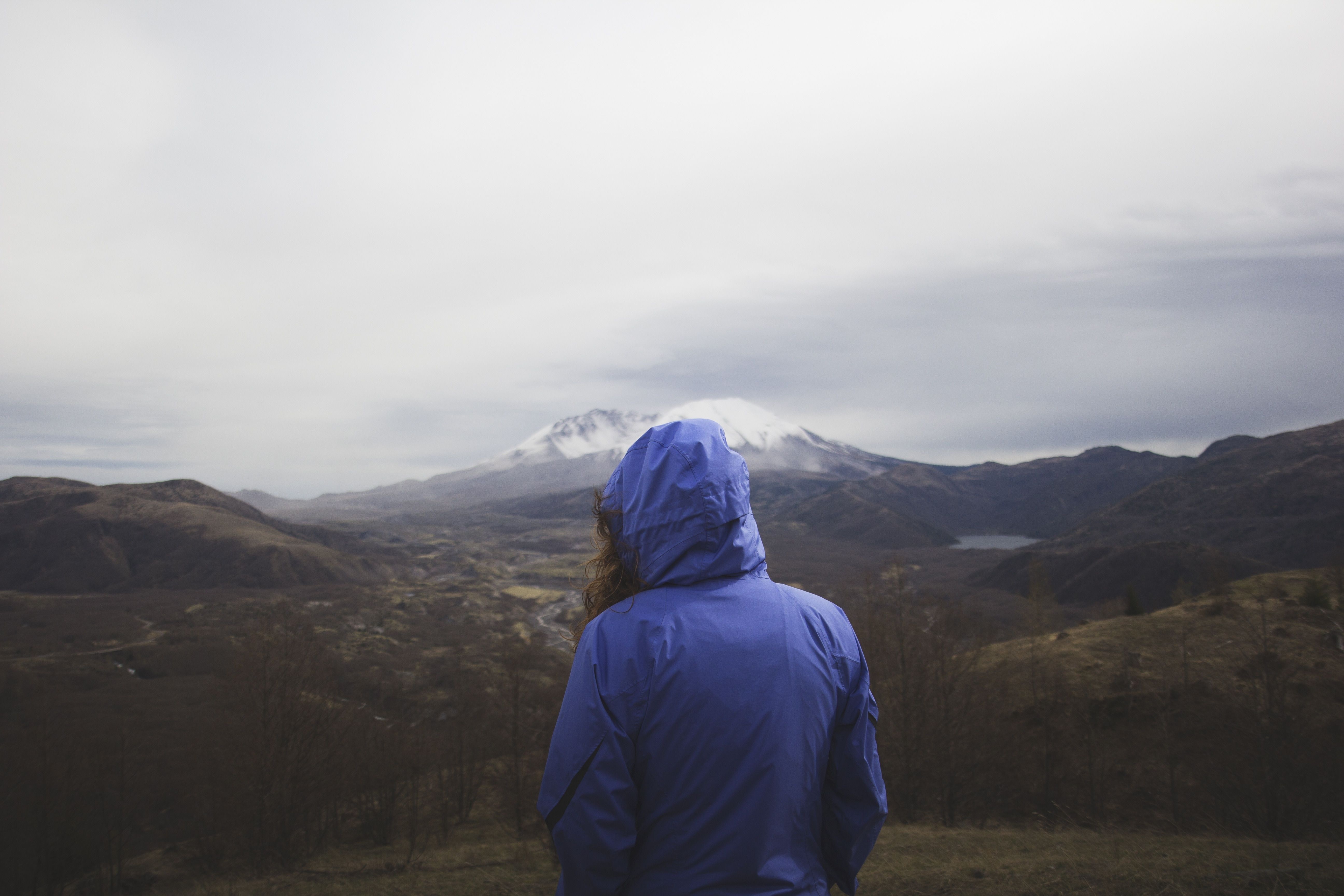 blue hooded windbreaker free image