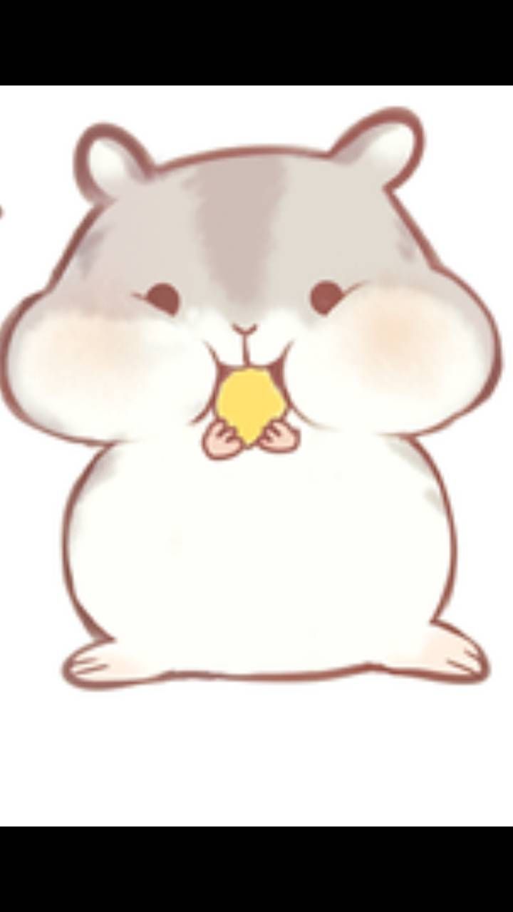 Cute eating hamster wallpaper