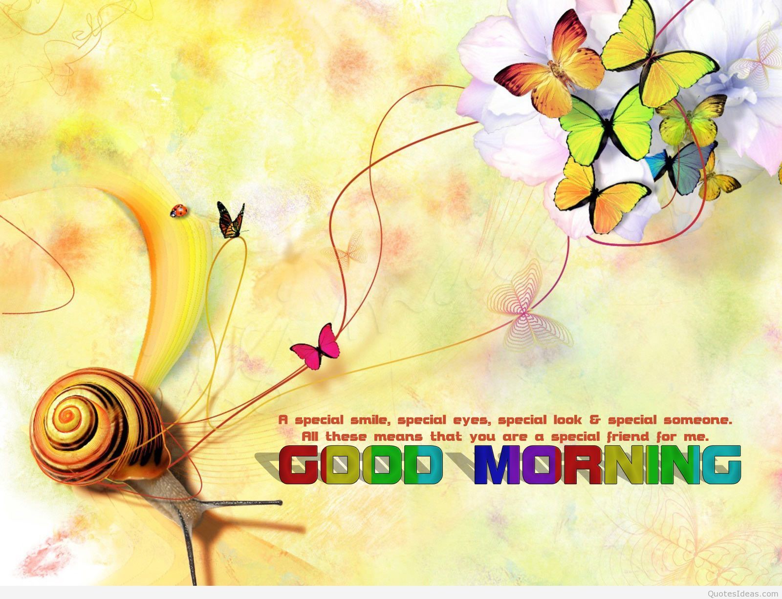 Good morning messages, wallpaper, quotes cards & pics