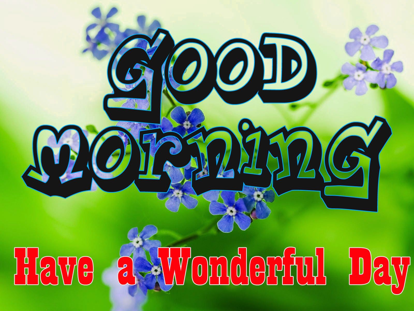 Good Morning 3D Photo Image Download Morning Image