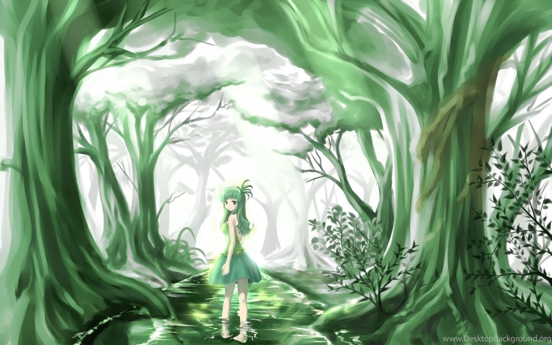 Green Anime Beauty Forest Wallpaper Desktop Background