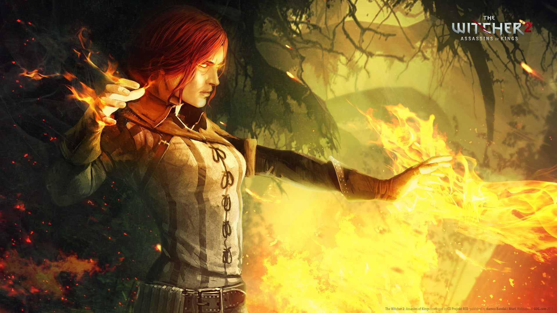 The Witcher wallpaper, The Witcher 2 Assassins of Kings