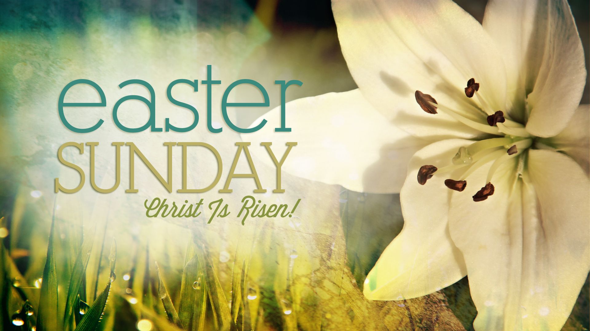 Happy Easter Sunday Wallpapers Wallpaper Cave