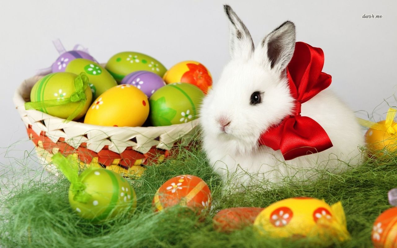 Happy Easter 2015 Wallpaper, Greetings, Messages, Quotes