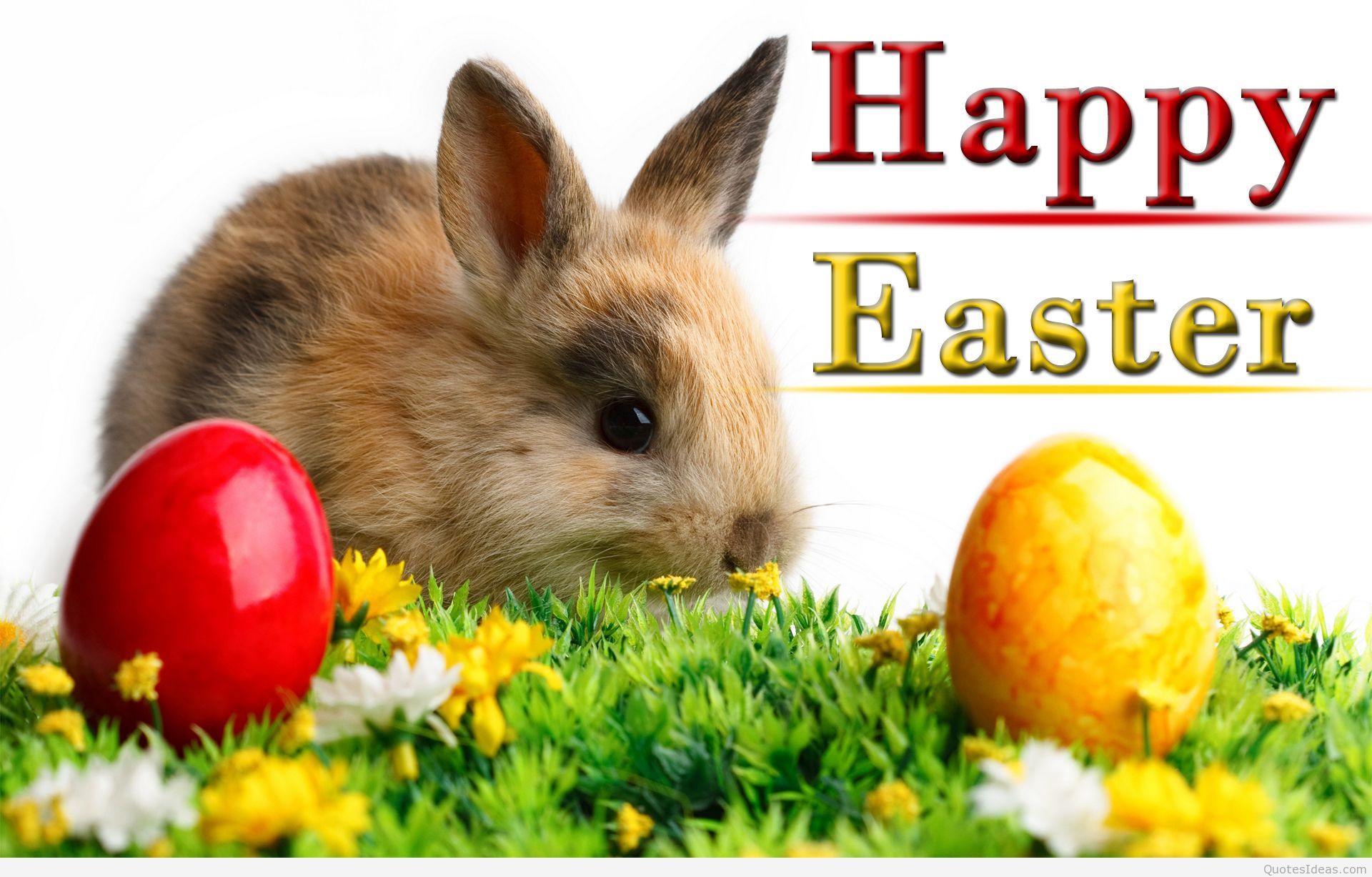 Happy Easter bunny wallpaper and quotes