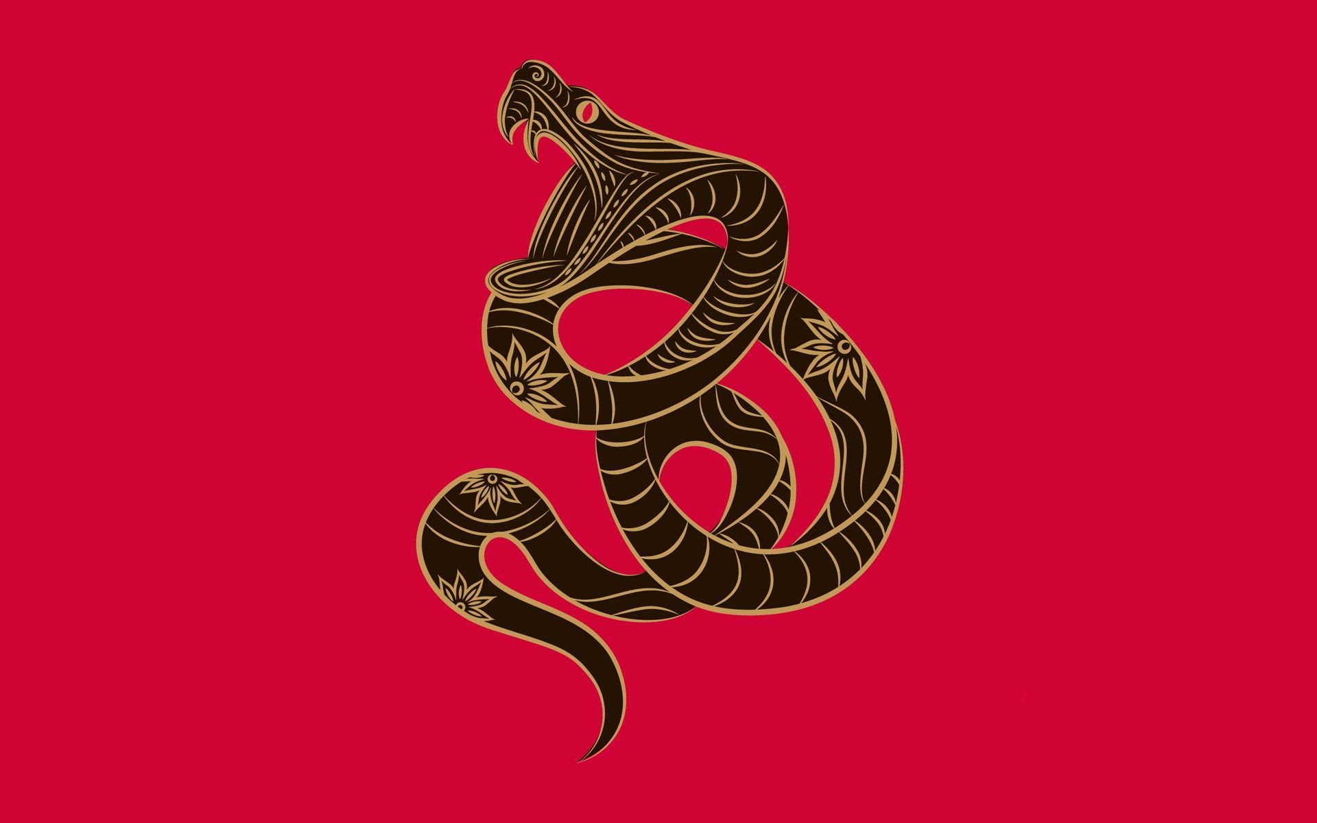 Chinese Zodiac Snake wallpaper. Chinese Zodiac Snake