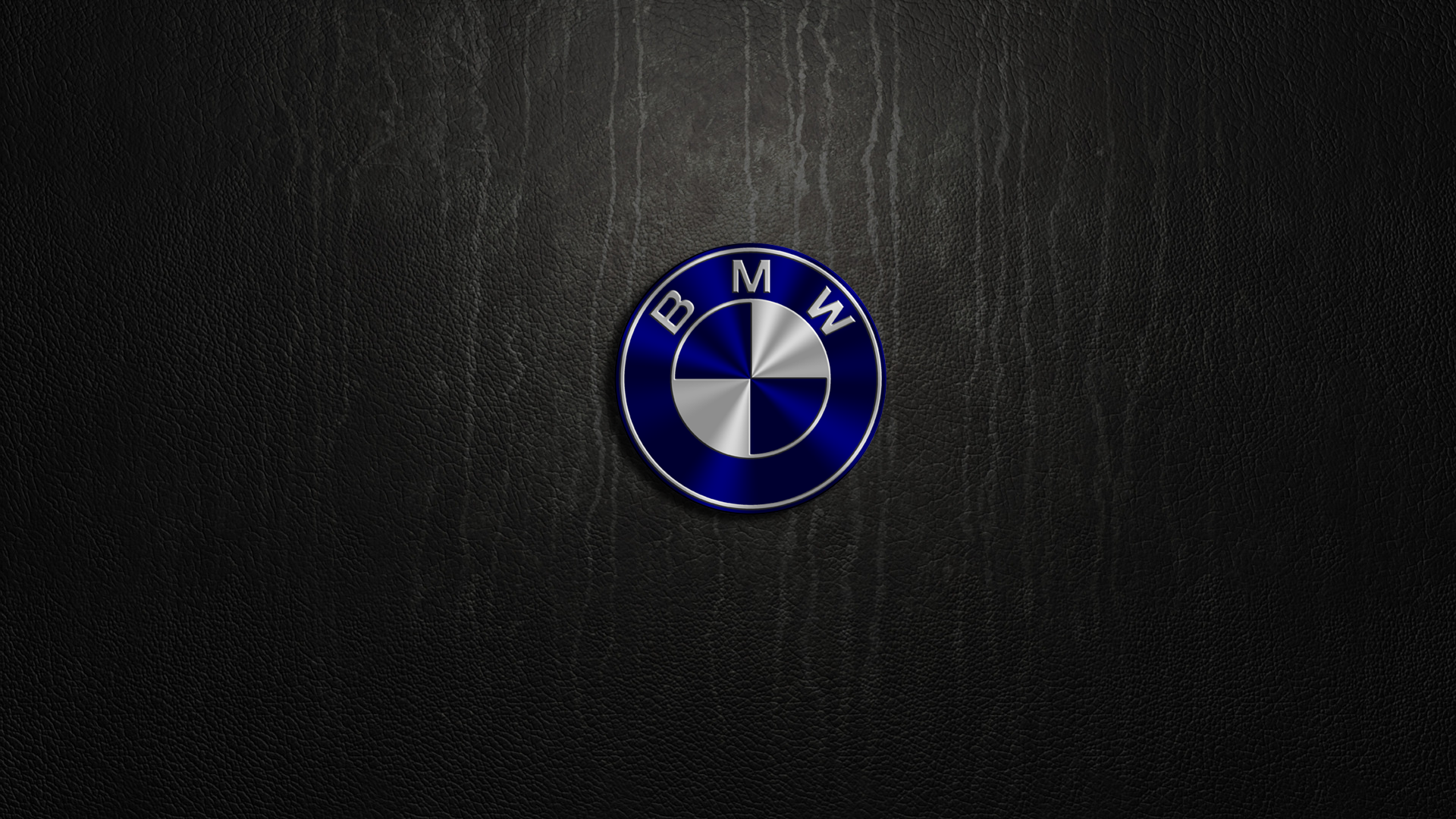 BMW Logo Desktop Wallpaper 58883 1920x1080px