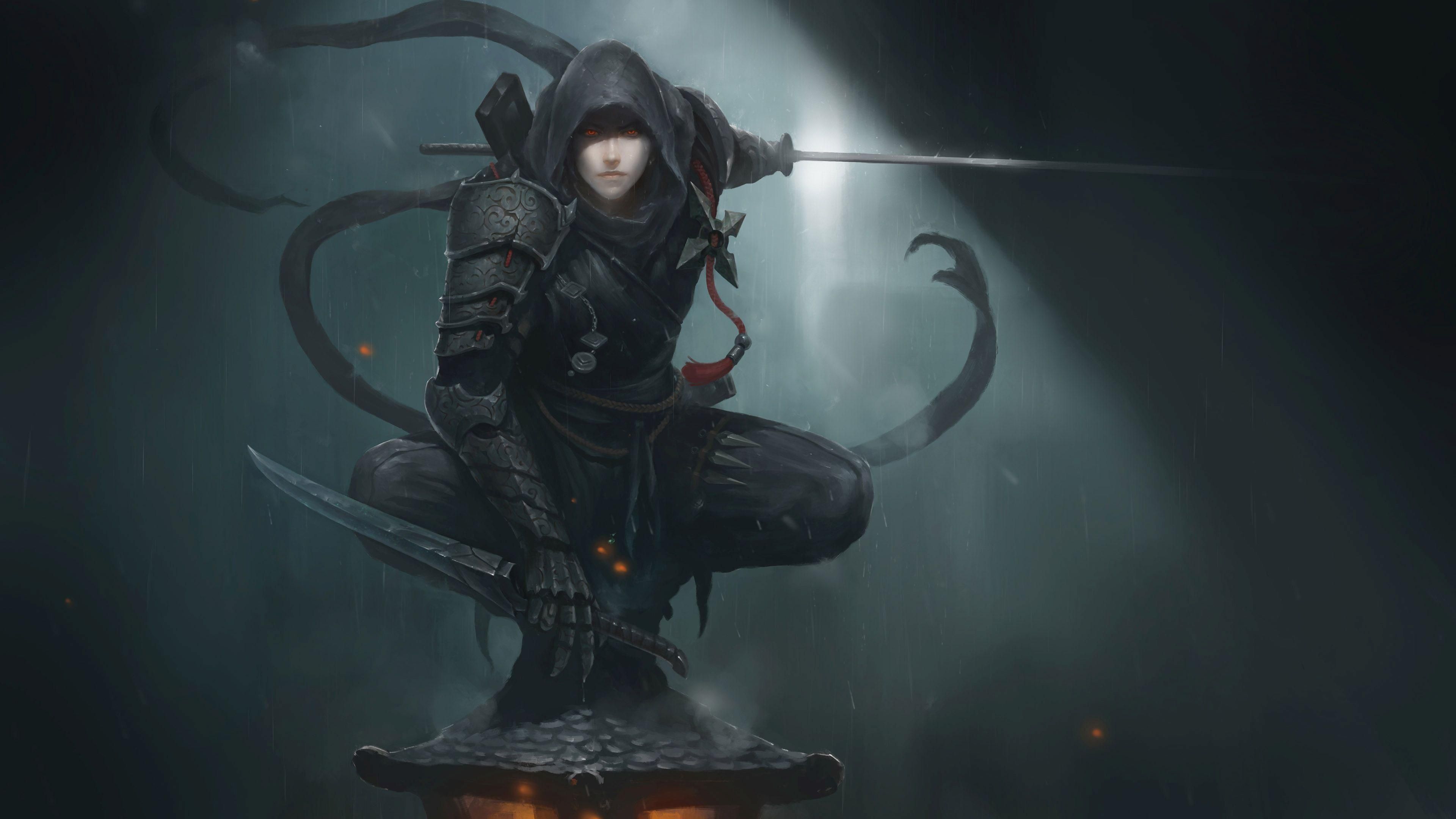 Image result for fantasy female ninja. Ninja art, Shadow warrior, Art