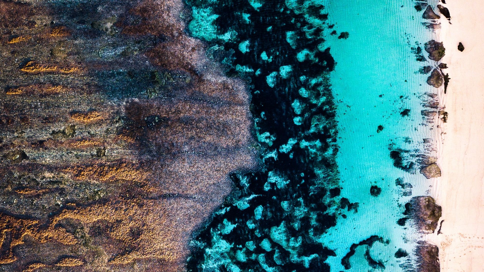 Download wallpaper 1920x1080 ocean, shore, aerial view, sand