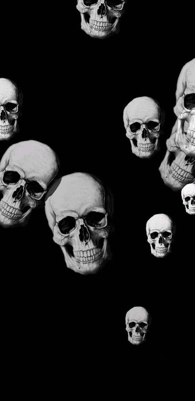 Skull. Skull picture, Skull, bones, Art