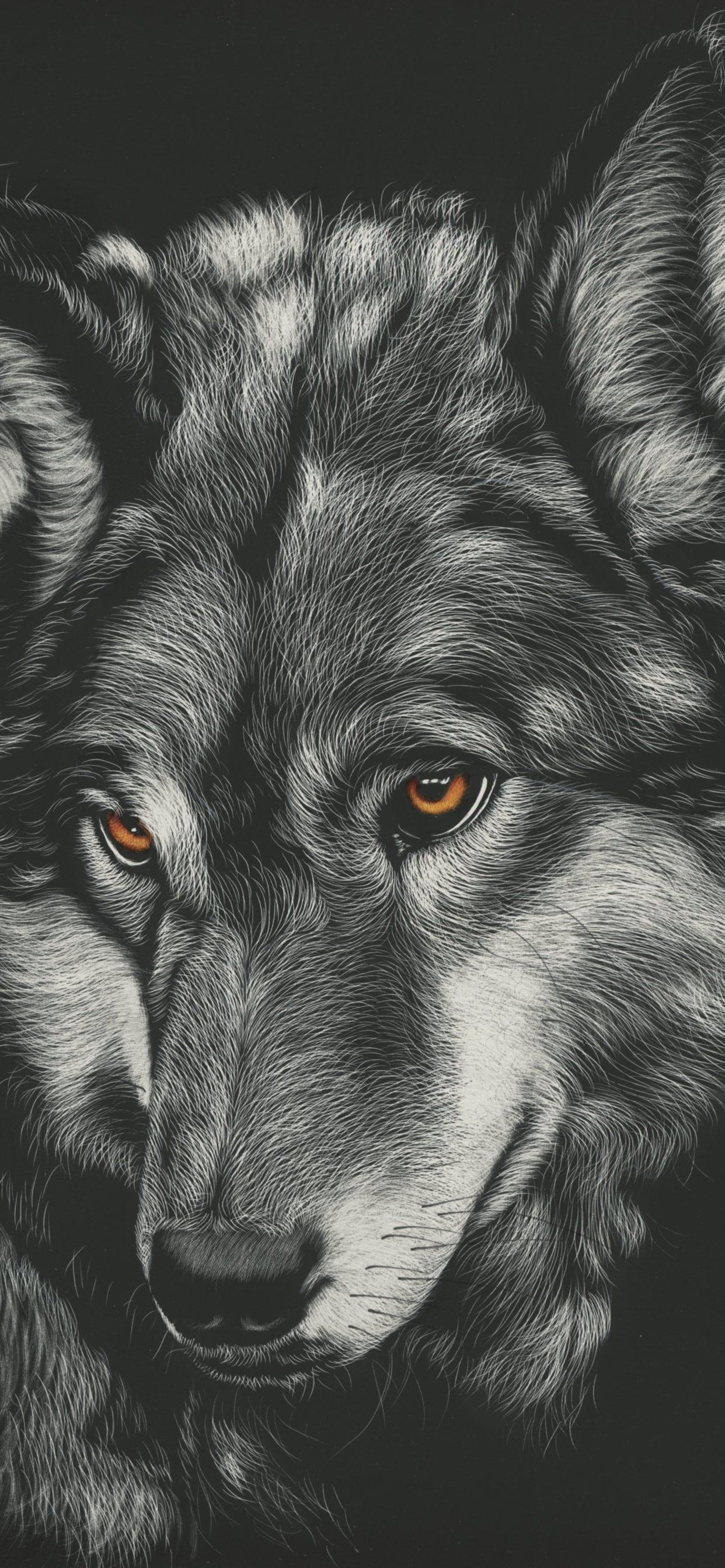 iPhone Xs Max Wallpaper Wolf. Wolf wallpaper, HD dark wallpaper