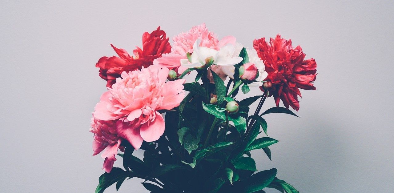 Dear Future Me: You Are Loved. Wallpaper, Cute desktop wallpaper