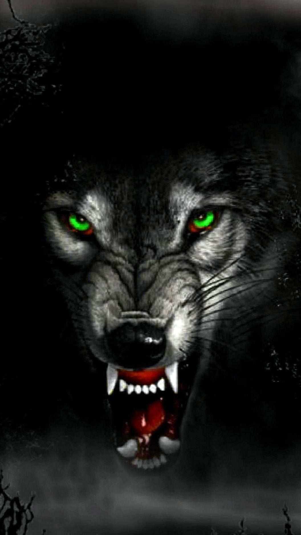 Angry Wolf Wallpaper HD For Mobile