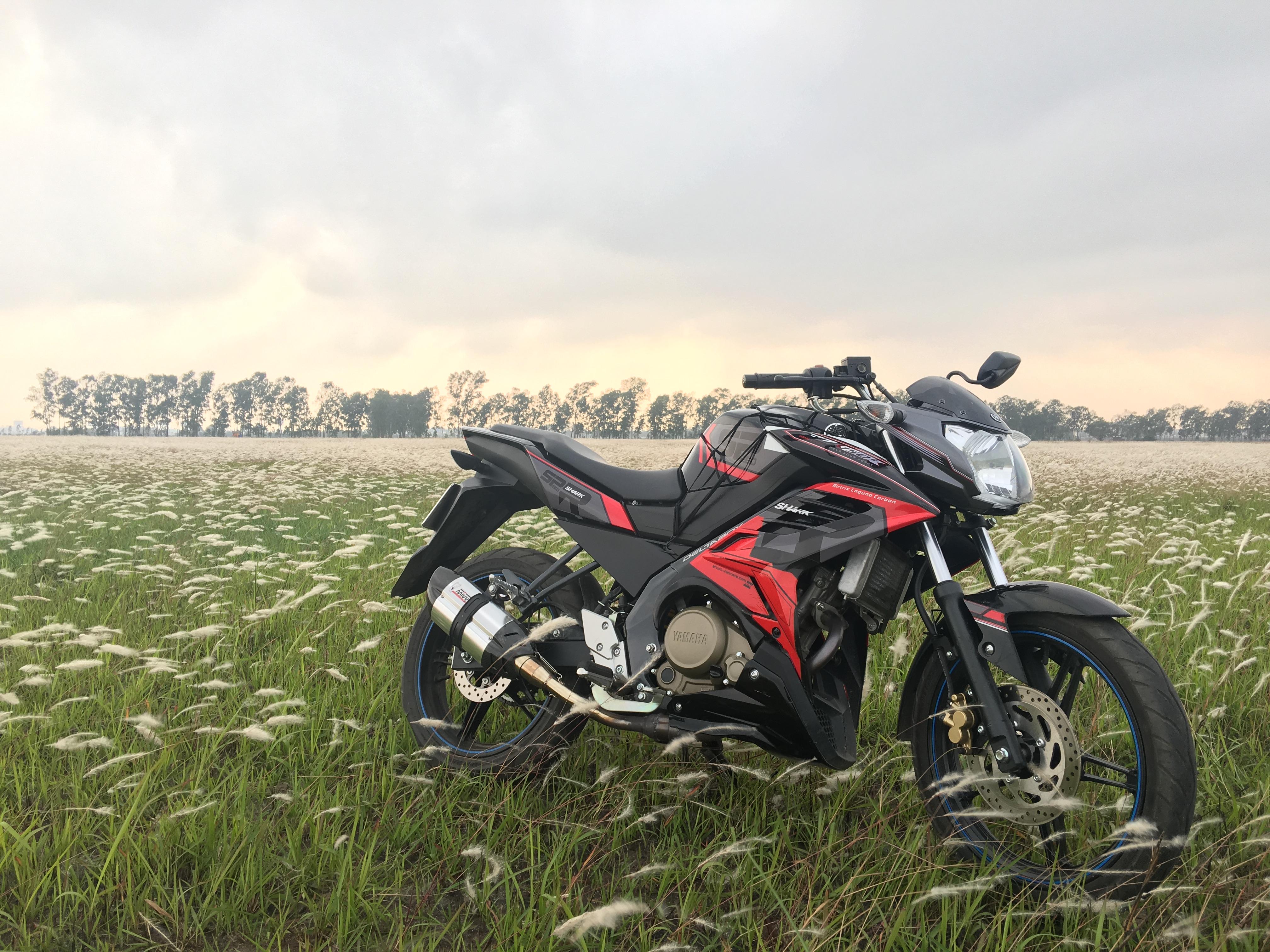 wallpaper motorcycle, bike, sports, side view, field, grass HD