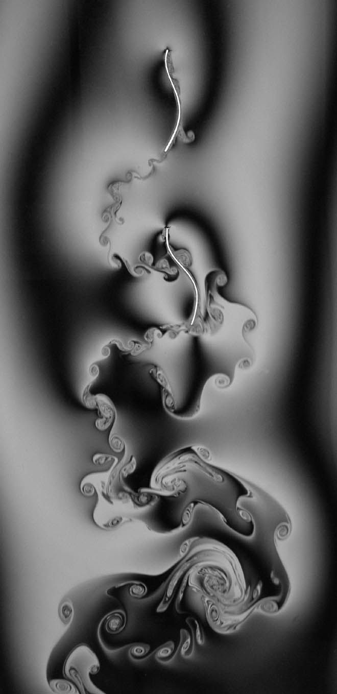 The Weird and Beautiful World of Fluid Dynamics. Fluid dynamics