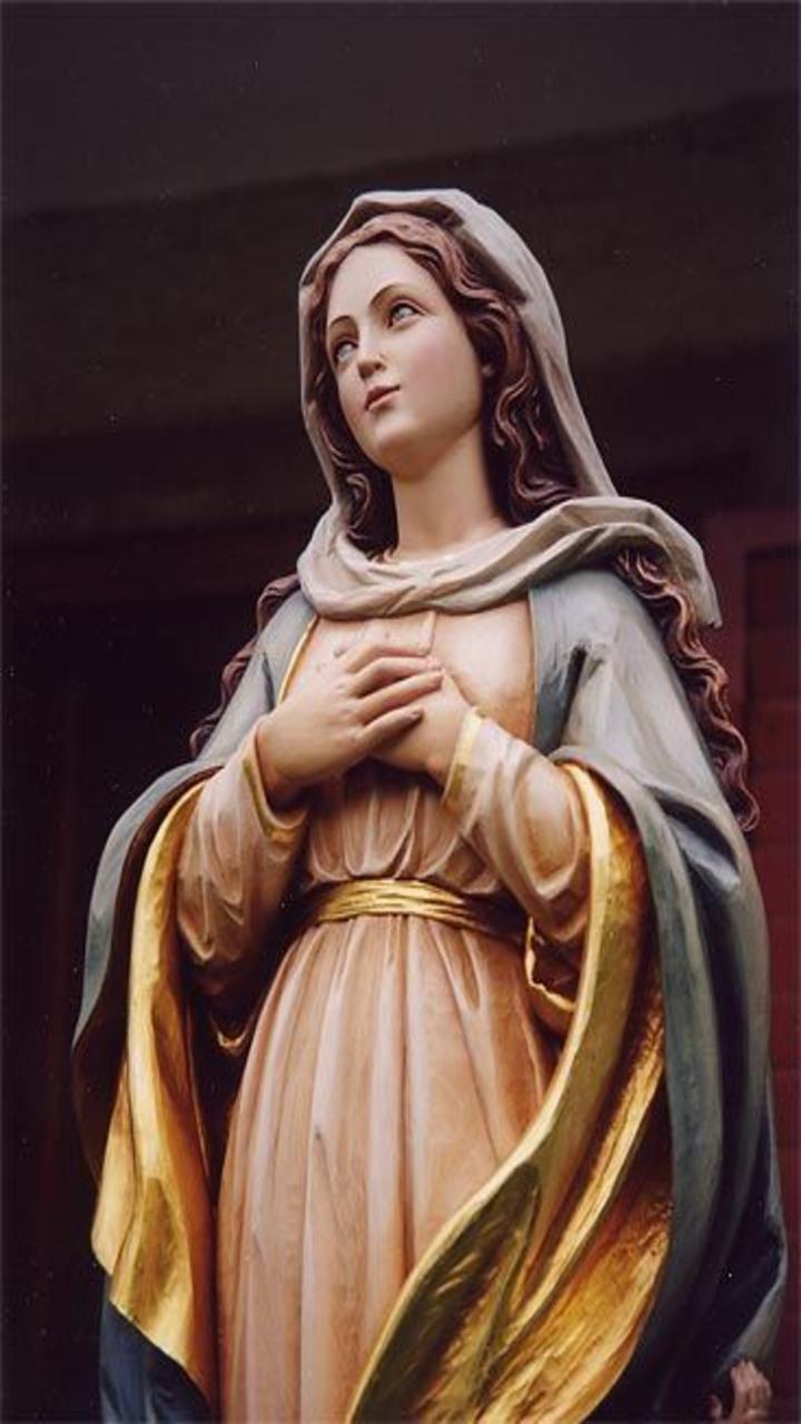 Virgin Mary Wallpaper for Android