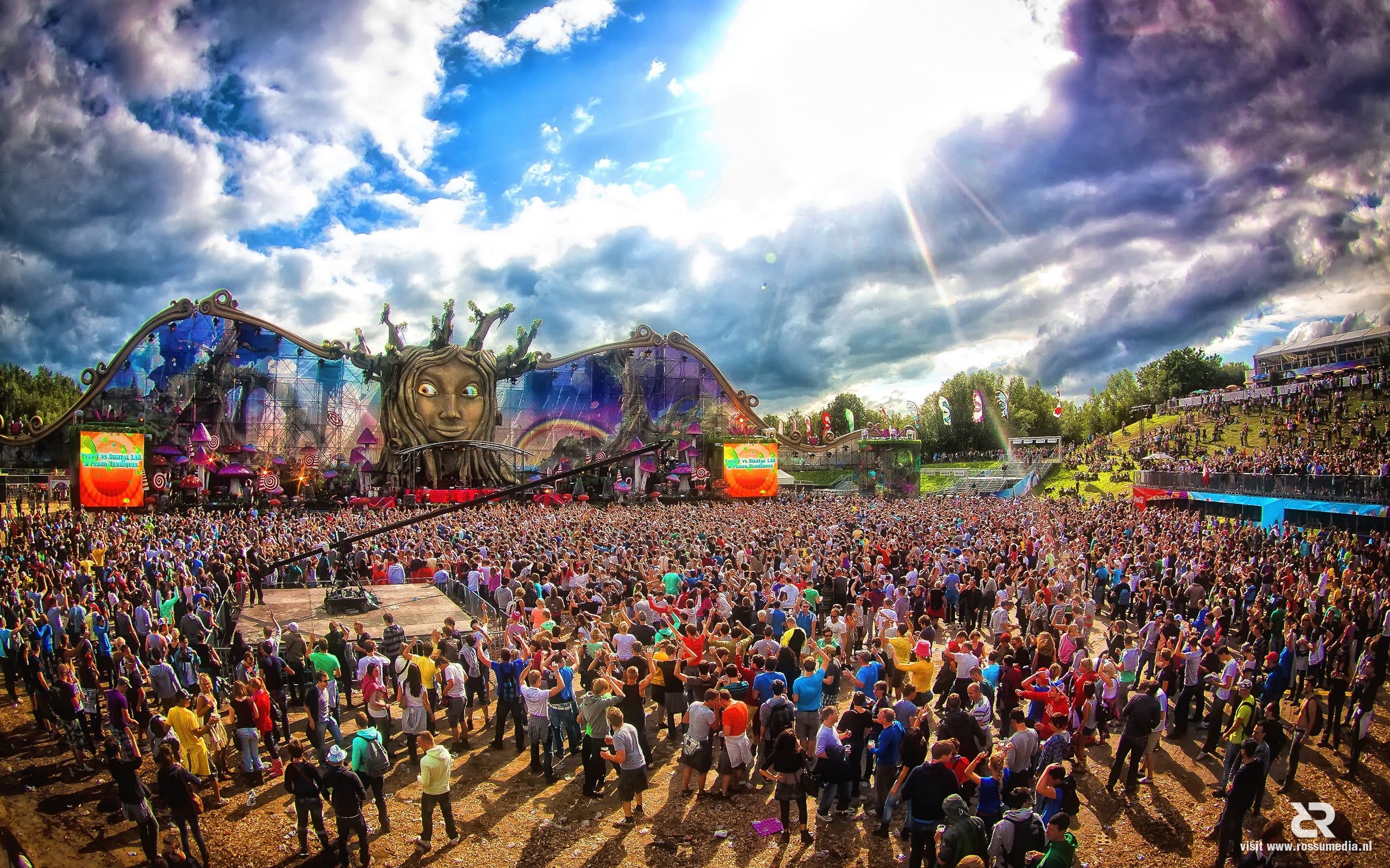 Men's Gray Crew Neck T Shirt, Tomorrowland, Crowds, Concerts