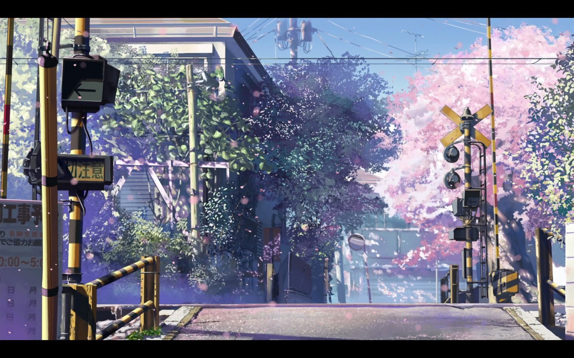 Centimeters Per Second Japan Makoto Shinkai Sakura anime