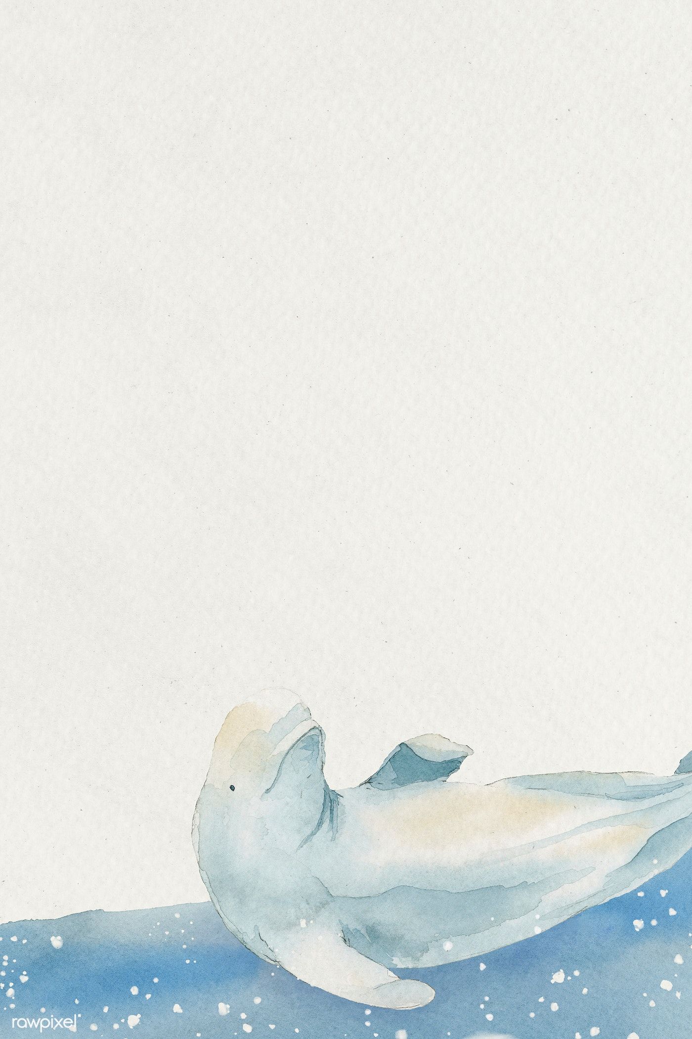 Download premium illustration of Watercolor painted Beluga Whale