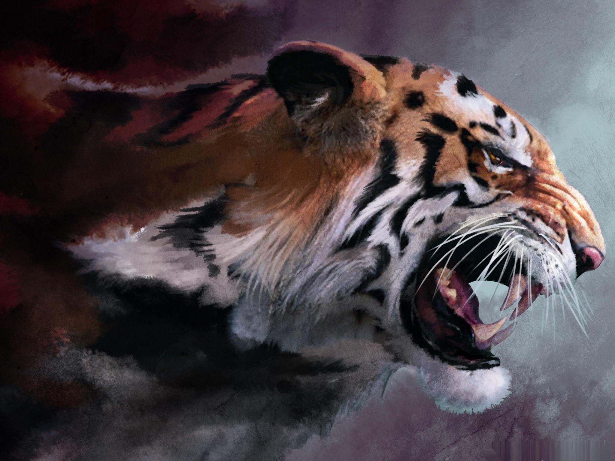 Cat Harimau Marah Picture Of Tiger Wallpaper
