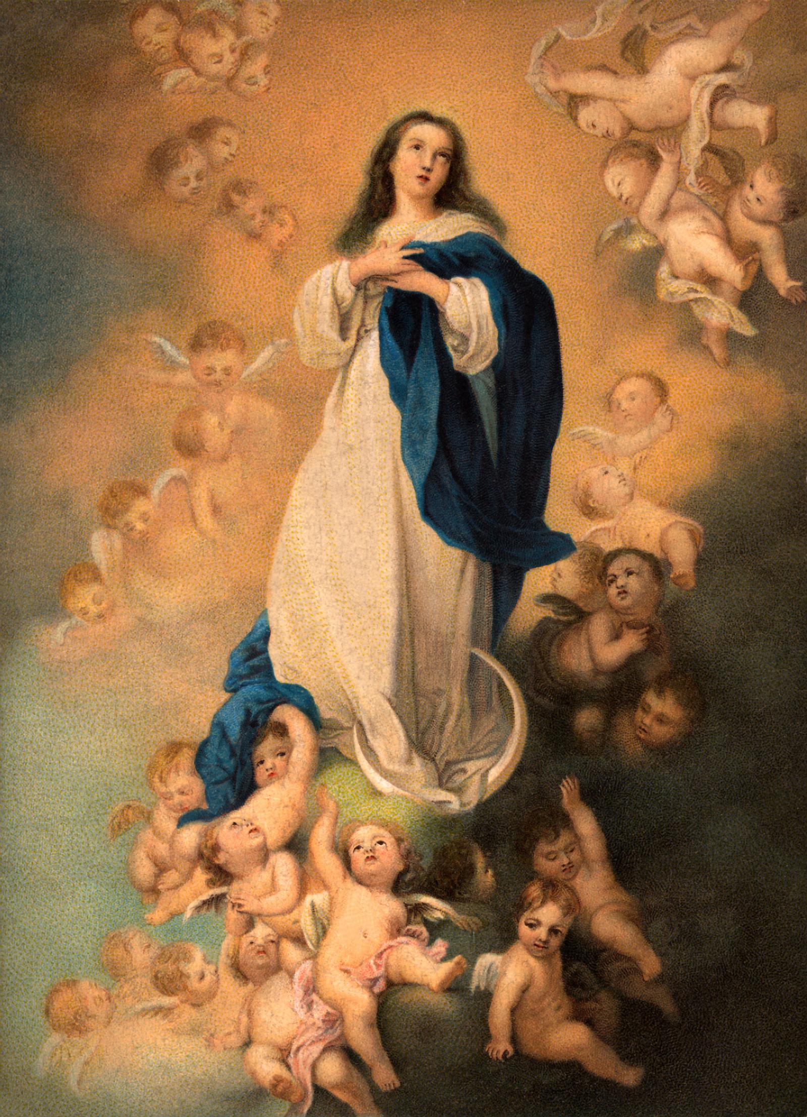 Assumption of Mary Wallpaper. Blessed