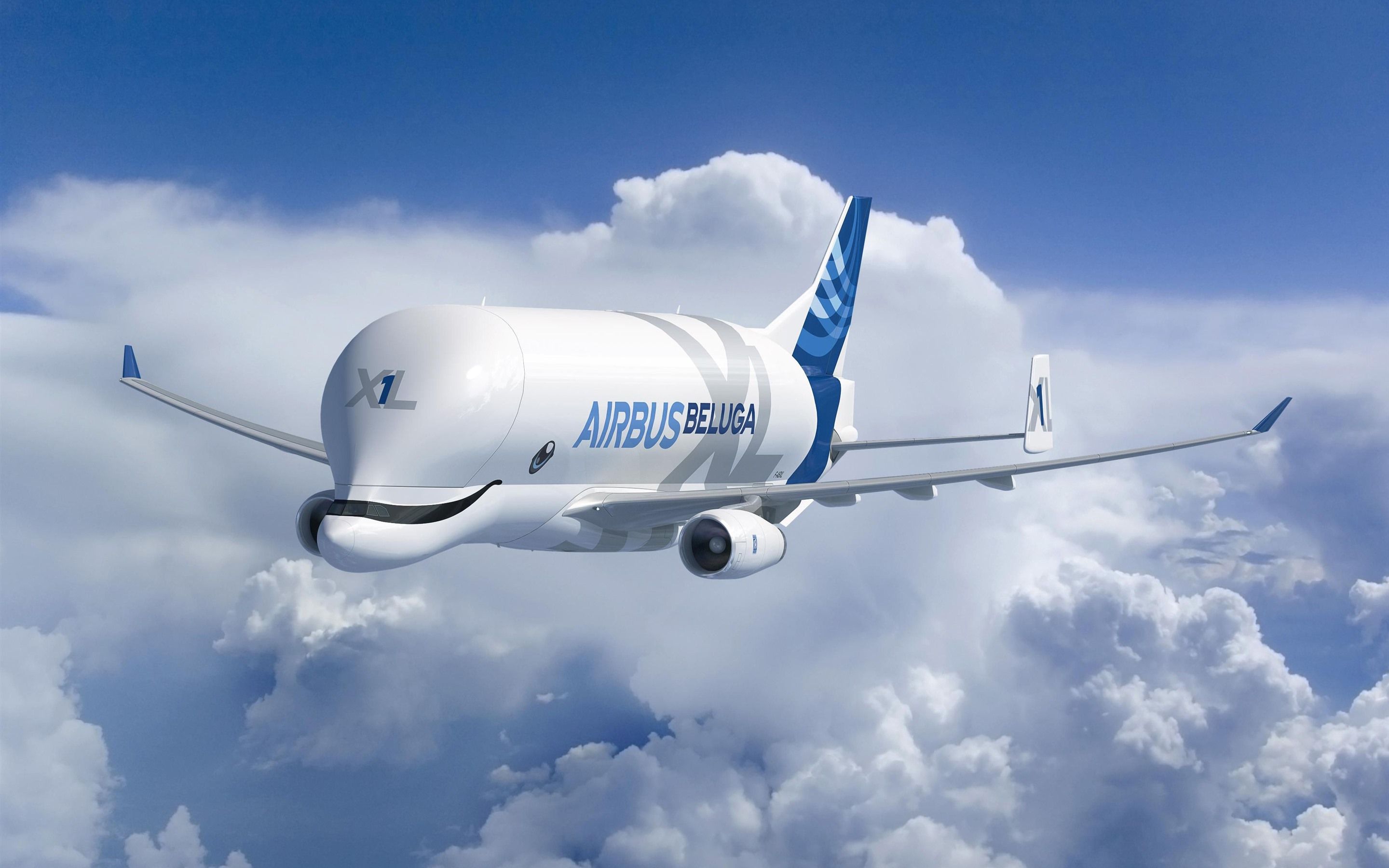 Wallpaper Airbus Beluga, A300 600ST Super Transporter 2880x1800 HD