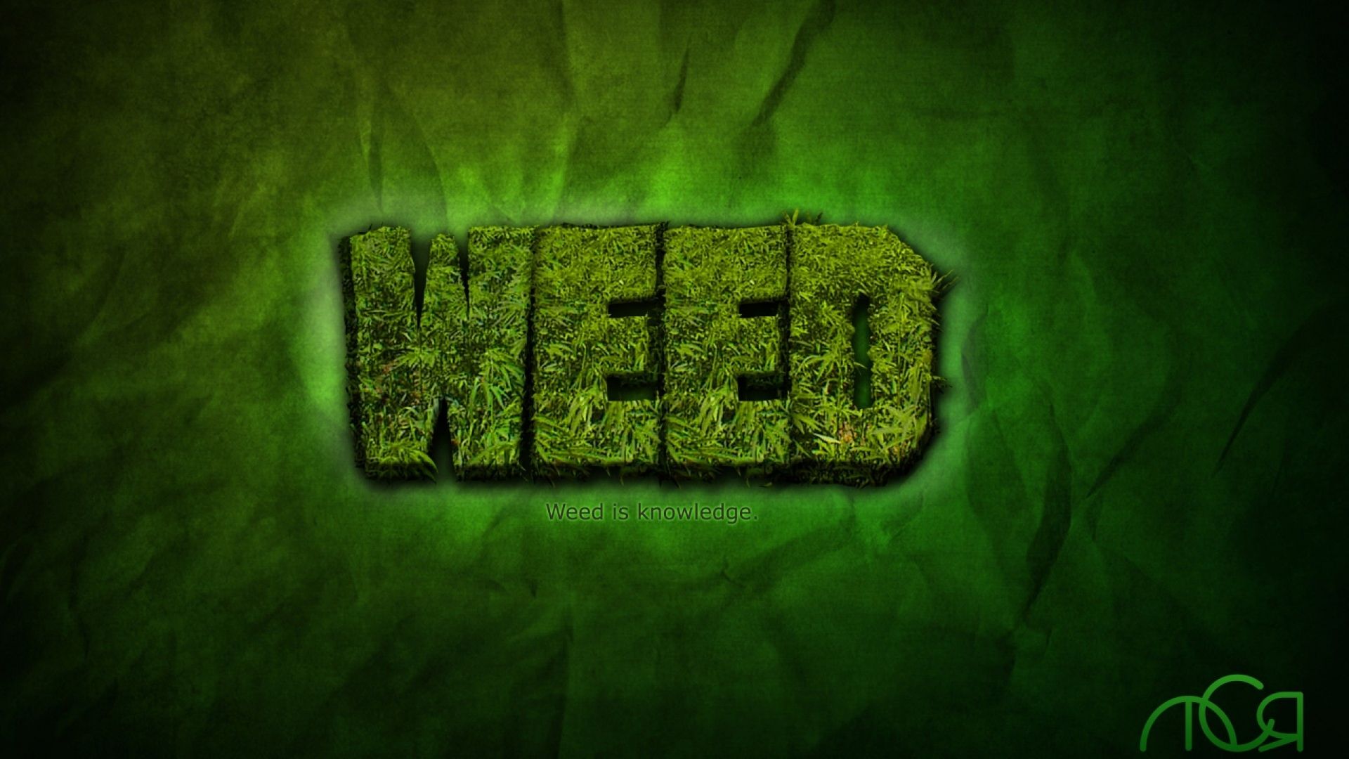 Free download Pics Photo Weed HD Wallpaper [2560x1440]