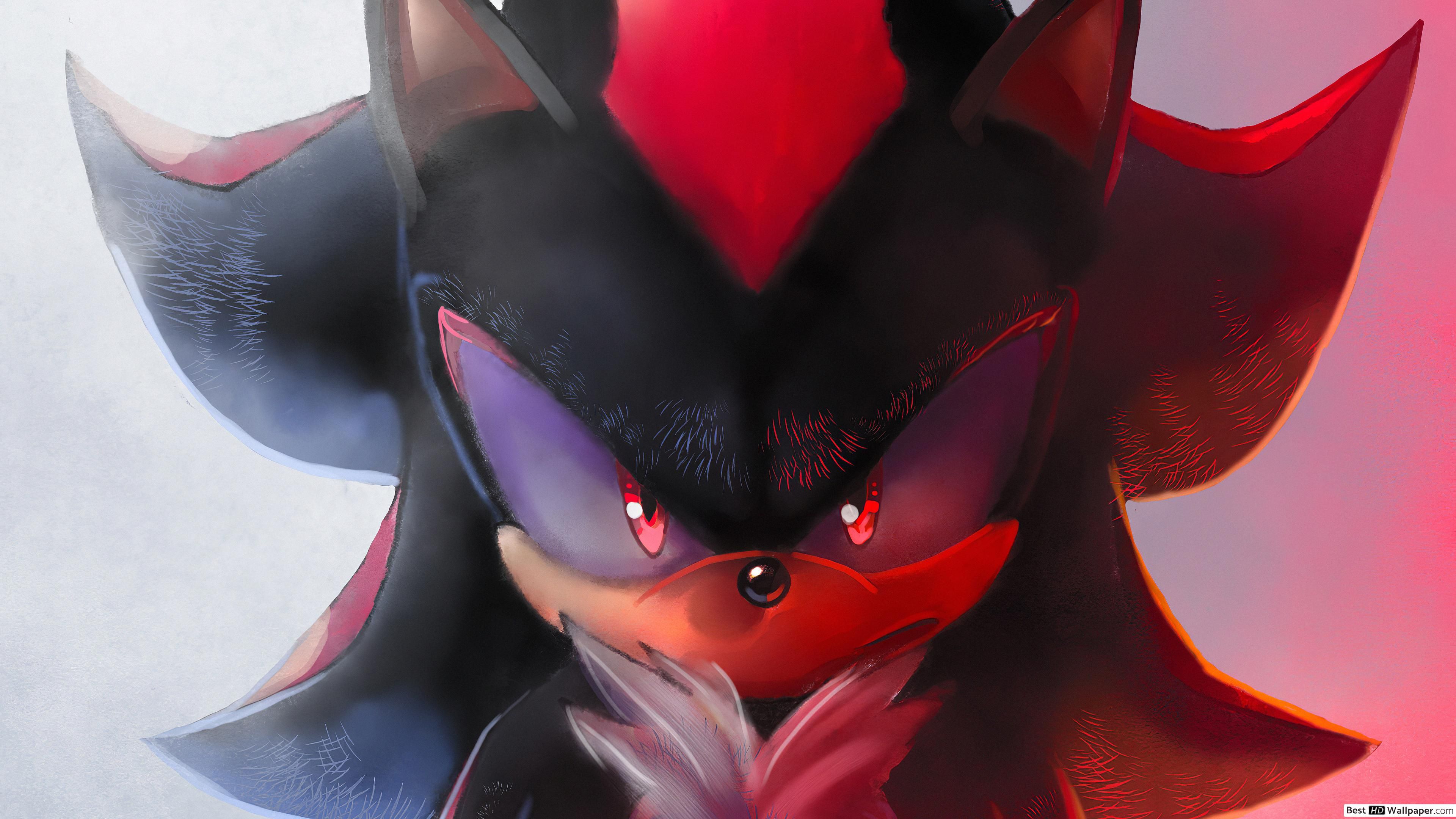 Shadow the Hedgehog Game HD wallpaper download