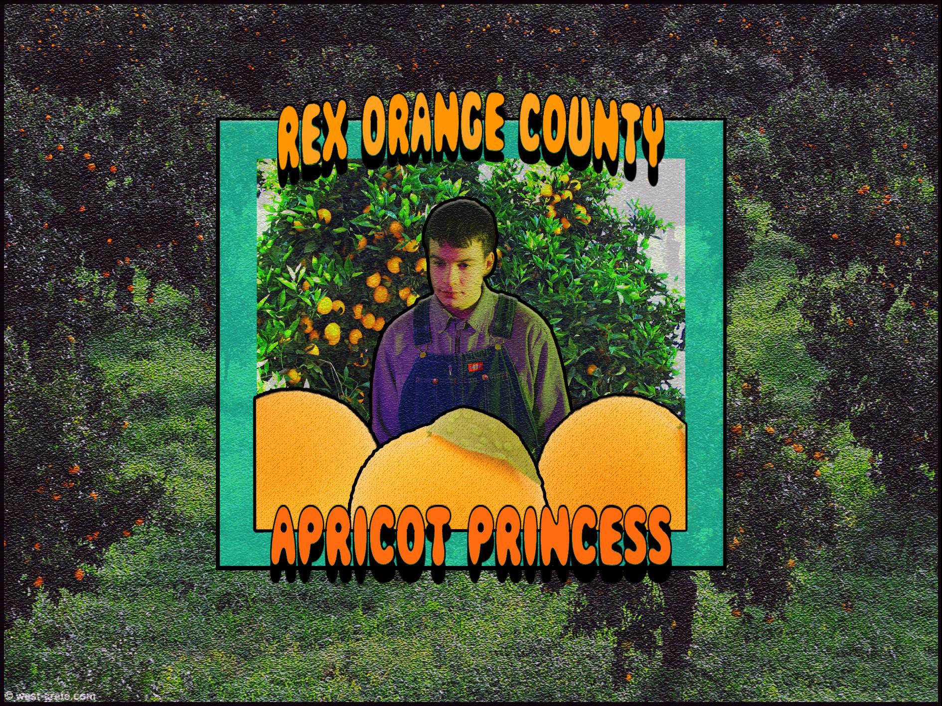 Rex Orange County Wallpaper Free Rex Orange County