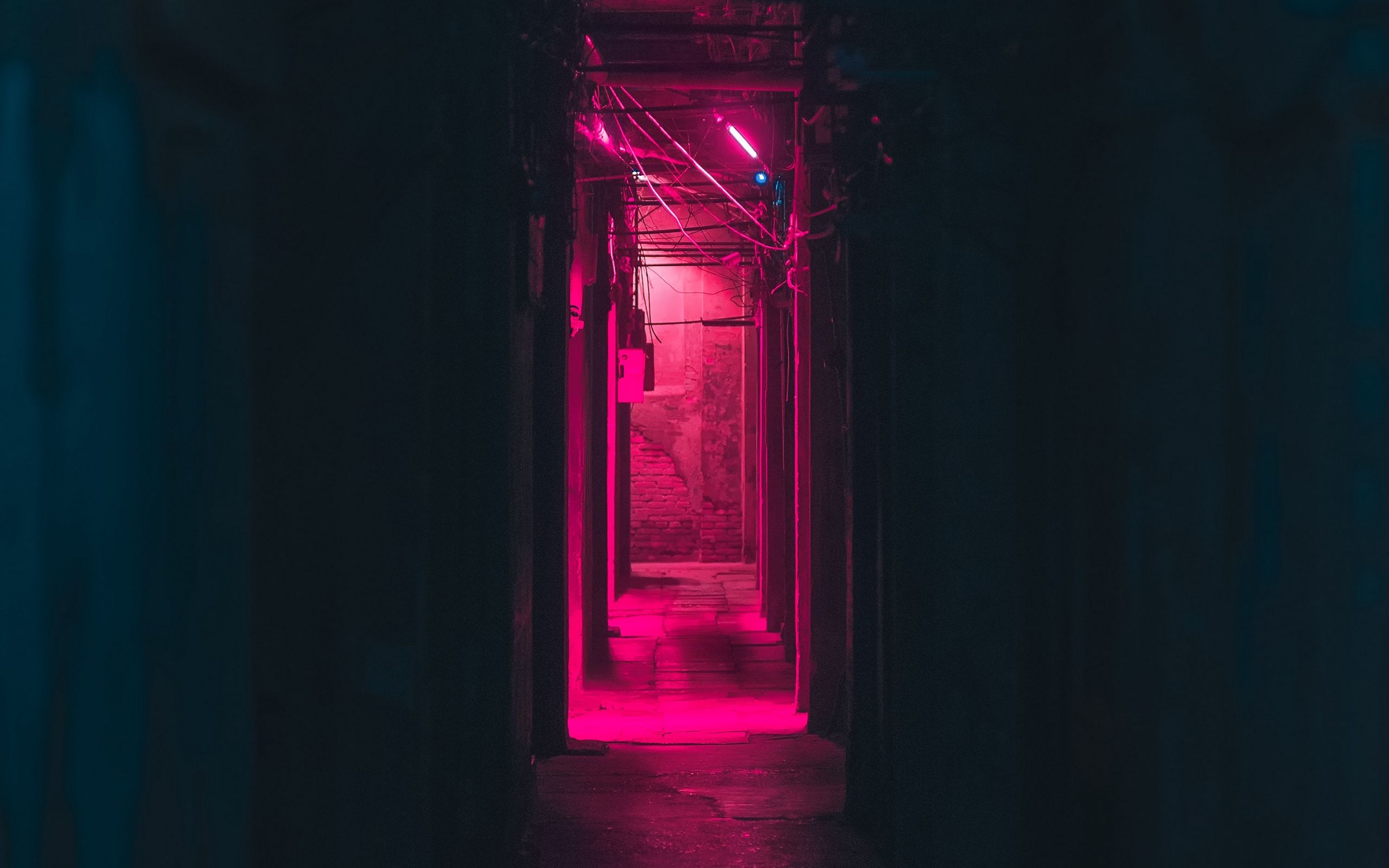 Download wallpaper 2560x1600 corridor, neon, dark, pink, light
