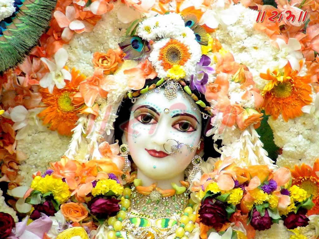 Padmavati Maa. Goddess Image and Wallpaper Saraswati