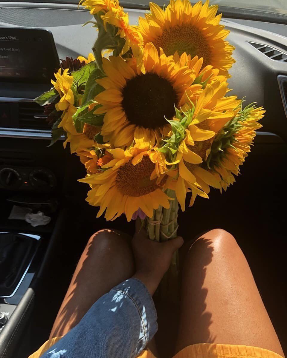 AM. on. Flower aesthetic, Sunflower wallpaper, Happy flowers