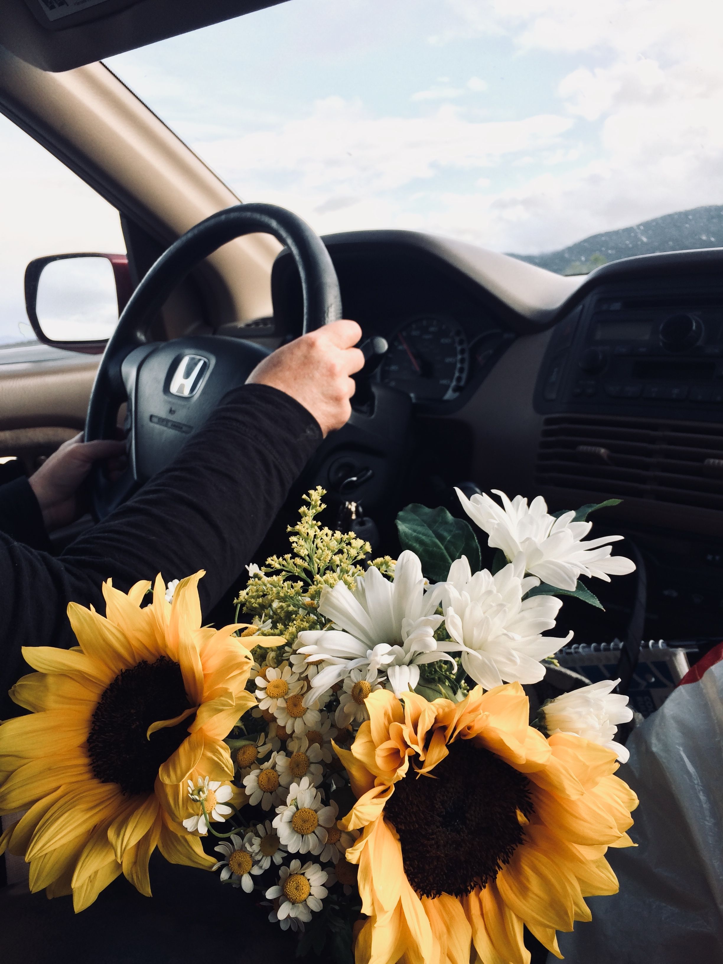 road trip. Happy flowers, Sunflower photography