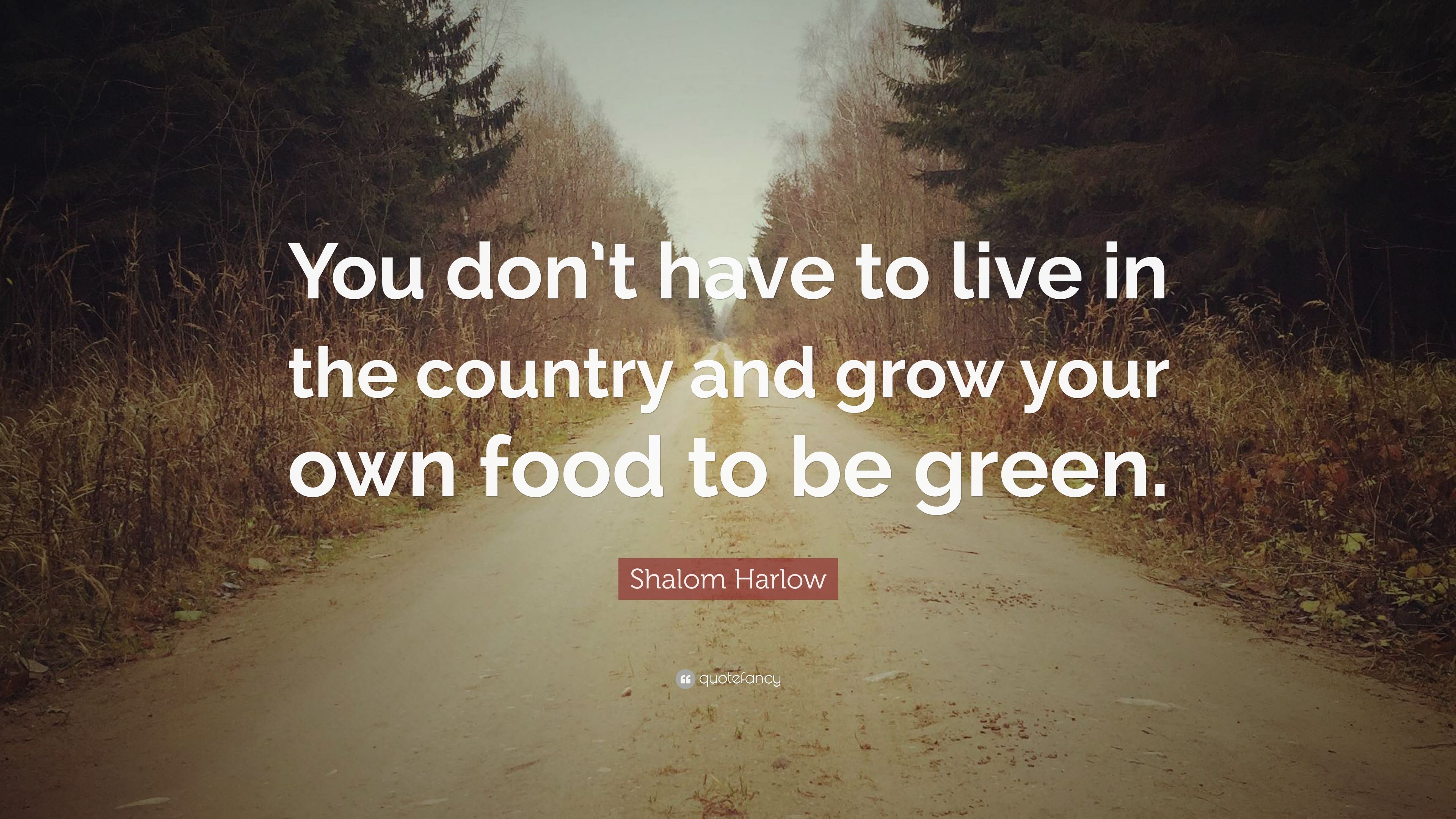 Shalom Harlow Quote: “You don't have to live in the country
