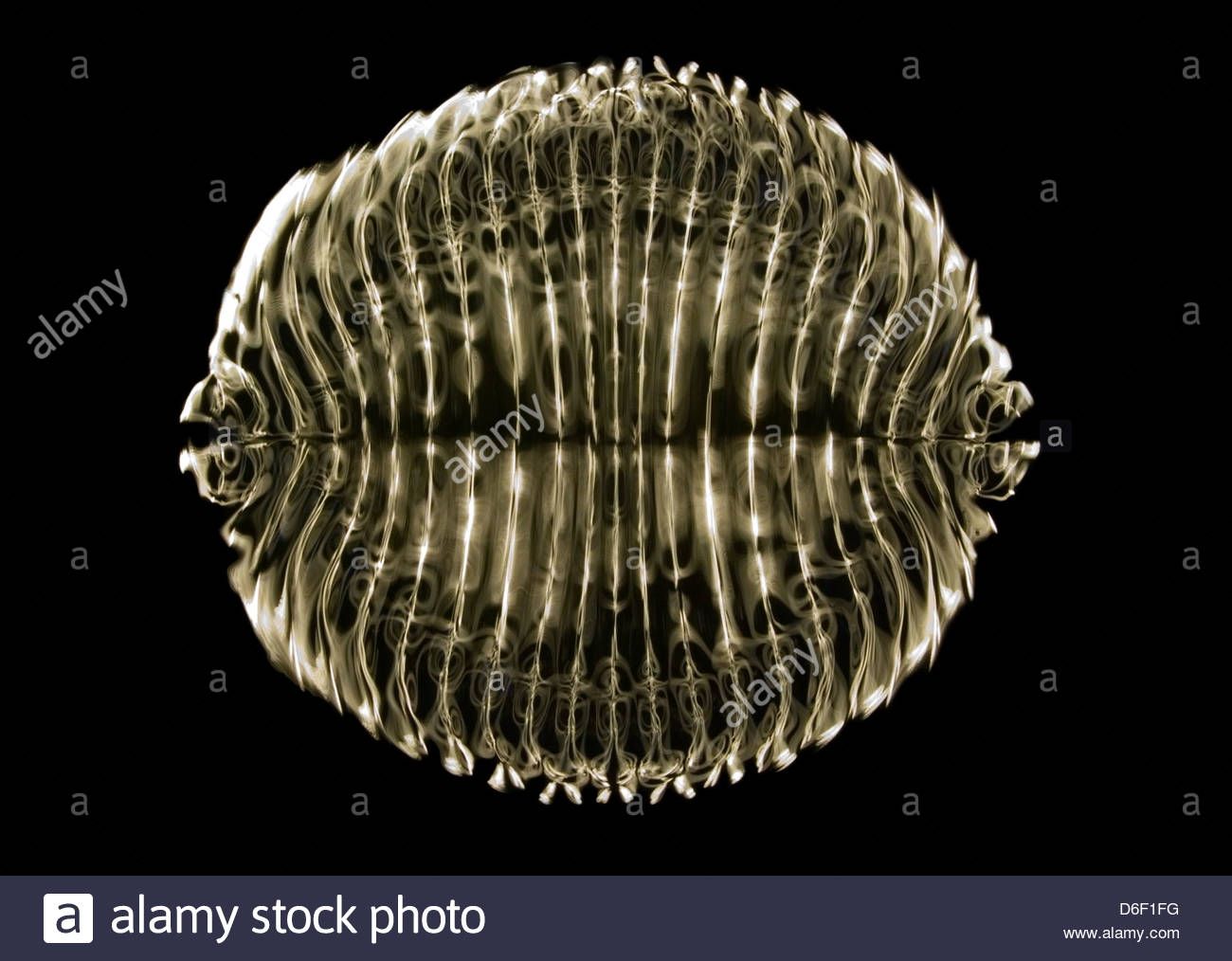 Cymatics Background. Cymatics Background