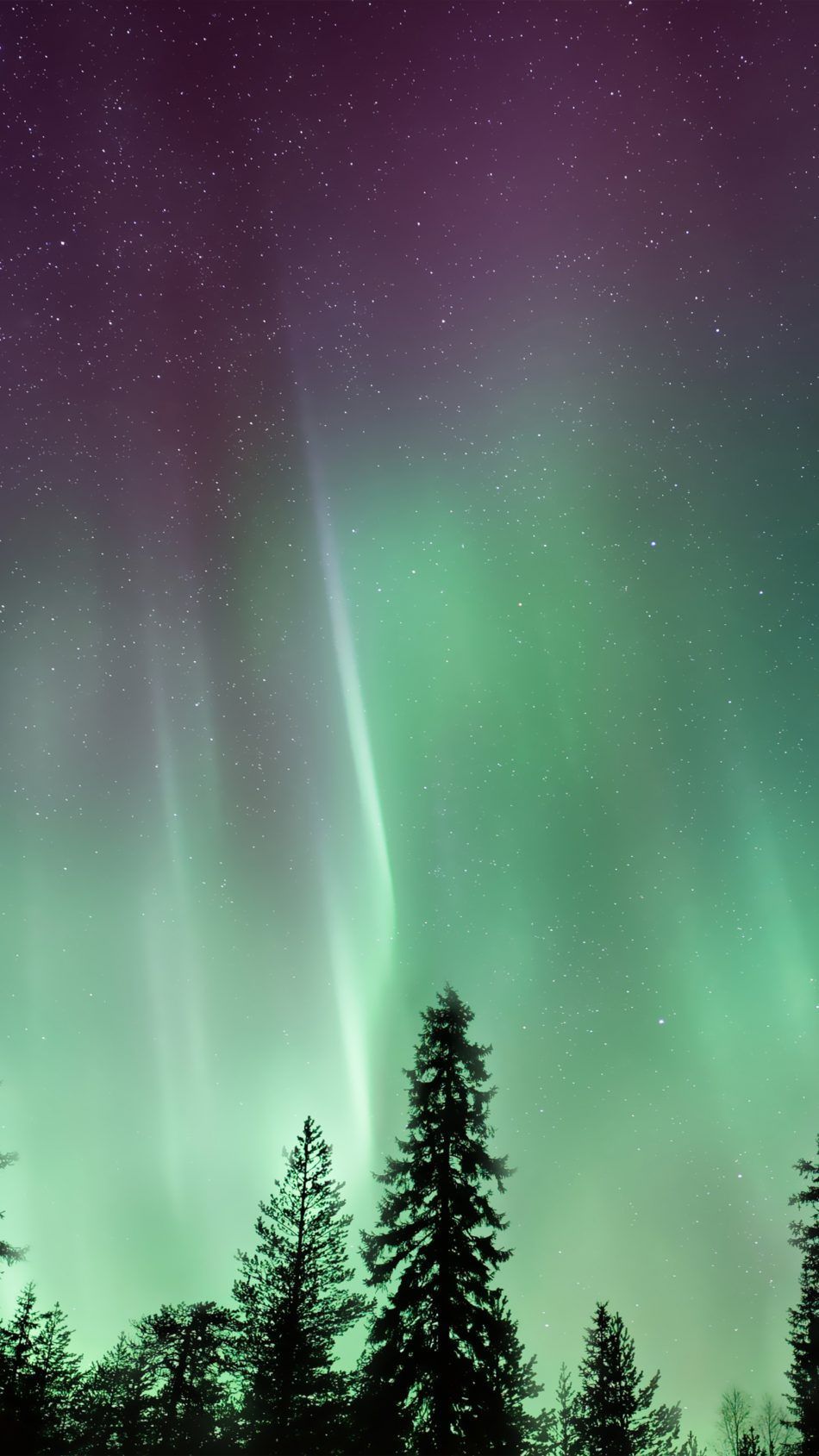 Amazing Northern Lights Aurora Borealis. Northern lights, Aurora