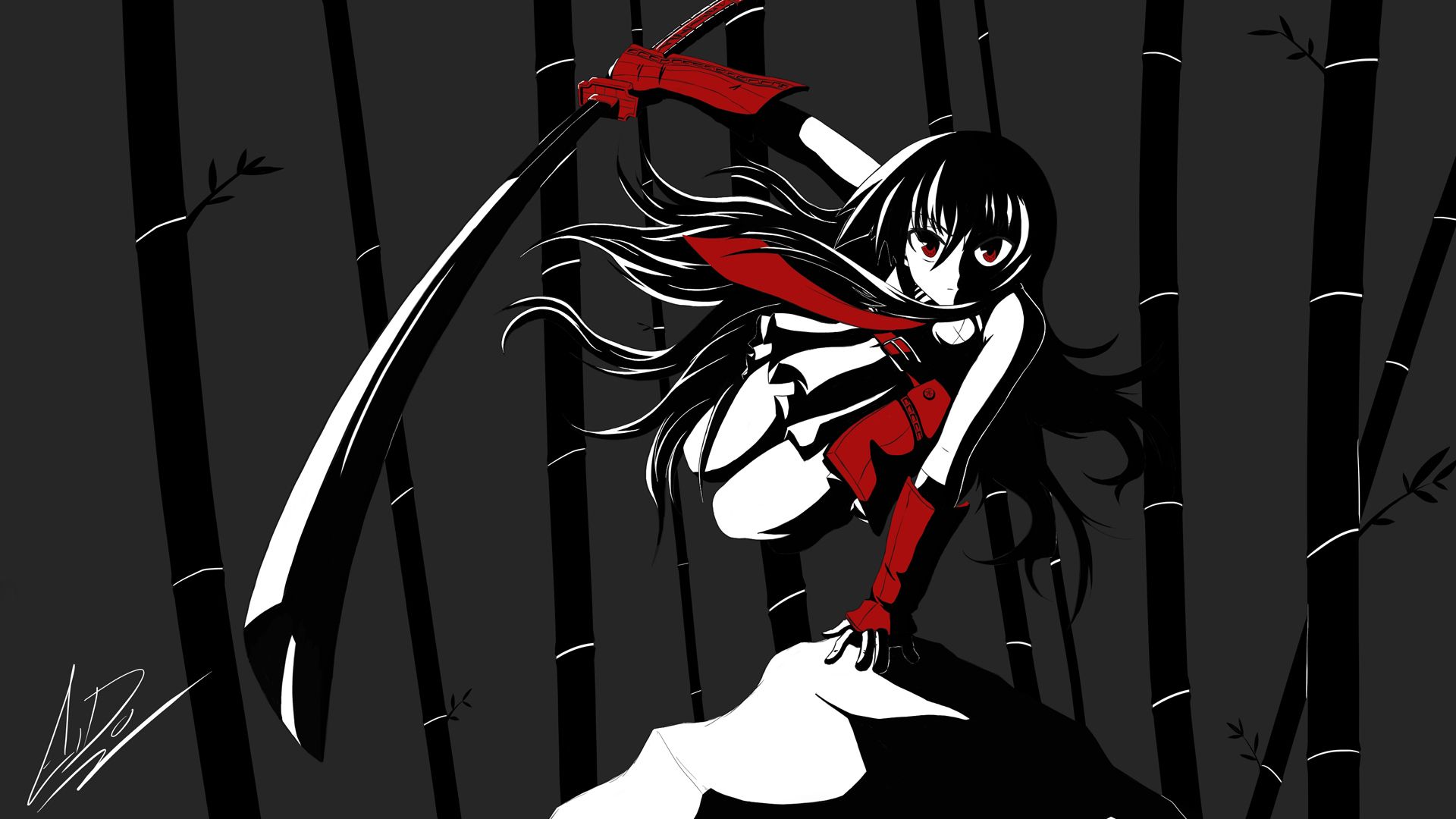 Akame ga Kill: akame_ga_kill_03 Anime Desu