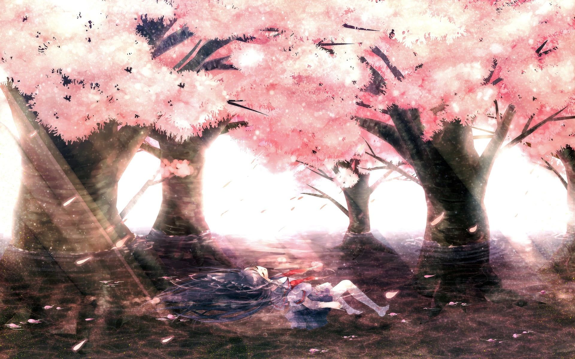 Cherry blossom painting, landscape, Chill Out, anime HD wallpapers